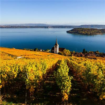 乐鱼app(中国体育)官方网站手机app下载